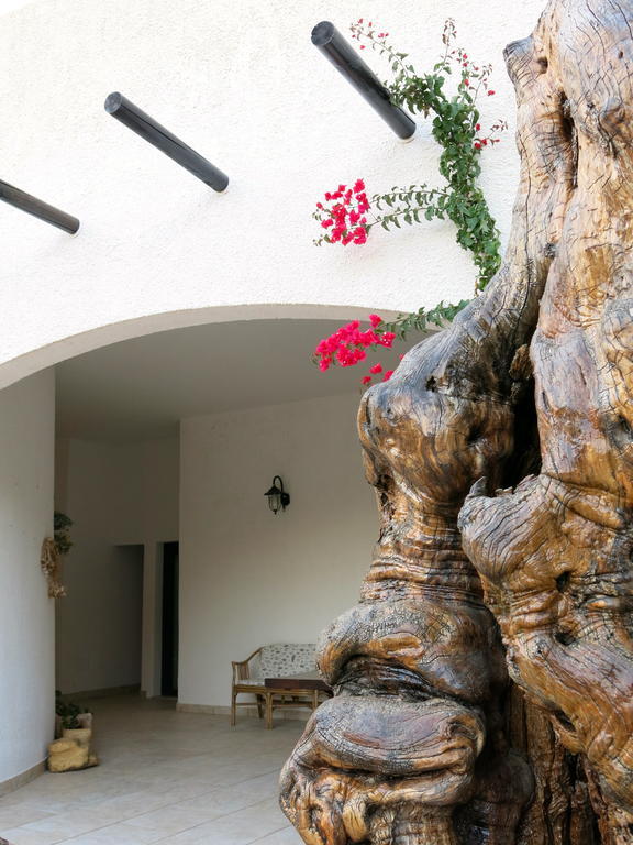 Agriturismo Tenuta Del Morige Galatone Oda fotoğraf